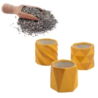 a scooper with chia seeds and 3 yellow flower pots